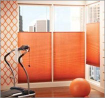 Wood Blinds Room Scene