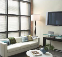 Wood Blinds Room Scene